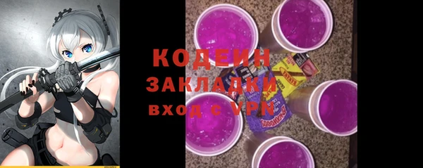 мет Няндома