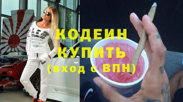 мет Няндома