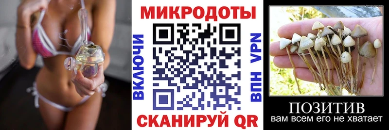 Галлюциногенные грибы мицелий  Тбилисская 